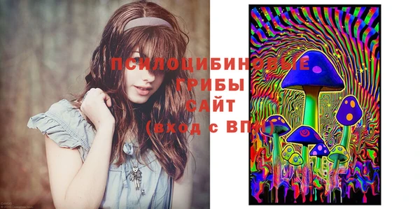 первитин Алексеевка