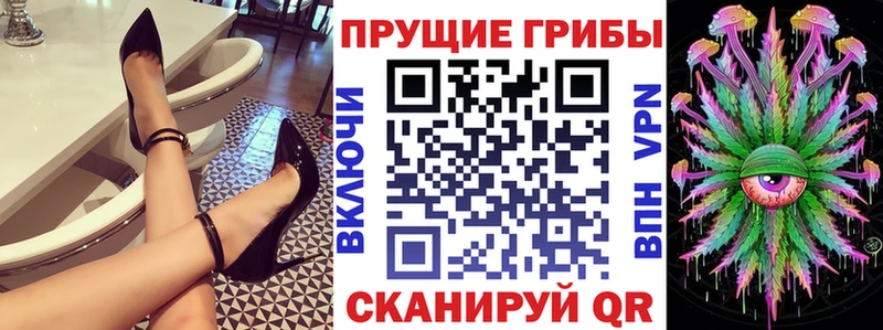 наркошоп  blacksprut сайт  Псилоцибиновые грибы MAGIC MUSHROOMS  Малоархангельск 